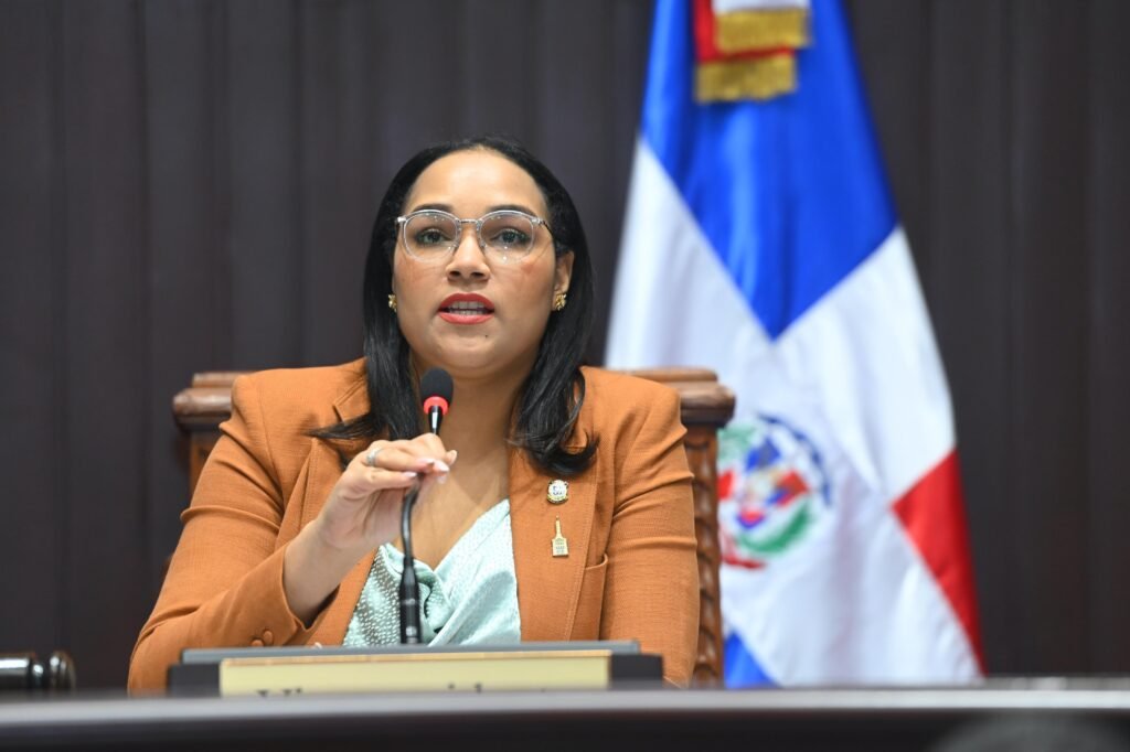 5-3-1024x682 Histórica jornada legislativa: Cámara de Diputados aprueba nuevo Código Penal en sesión maratónica