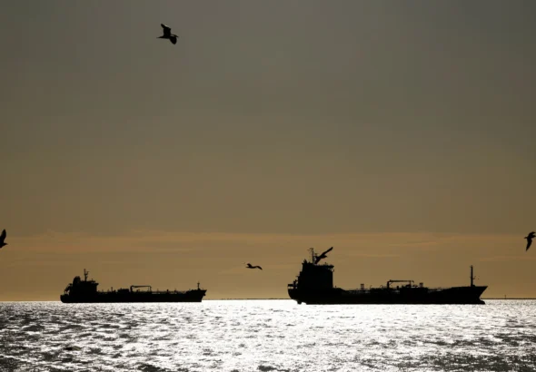 69d13e223503dfa6121c949276f39ef7